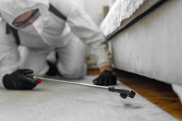 Professional Pest Control technician working in Greenwood County County, KS